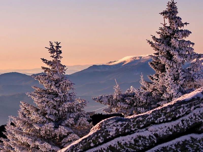 Kopaonik Mountain - Villa Kopaonik - Ana Görsel