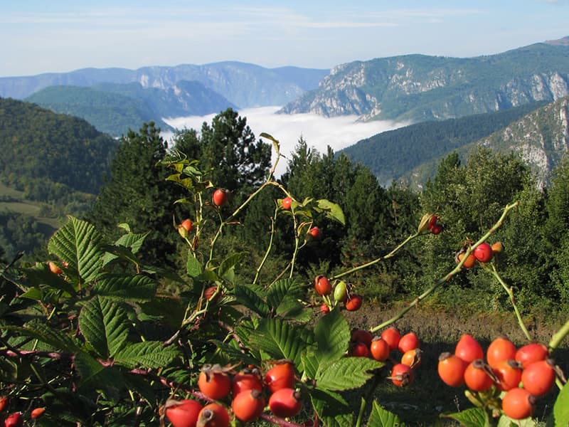 Tara Adventure Tour 7 Nights 8 Days - Detay 2